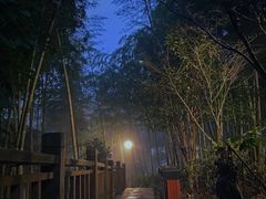 -江南天池高山汤泉城