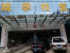 -双季花艺园艺市场(浦东店)