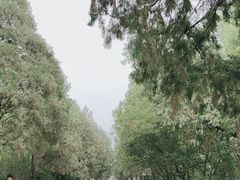 -千佛山风景名胜区