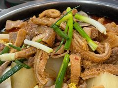 -古乐牛香·鲜牛肉牛杂火锅(高新店)