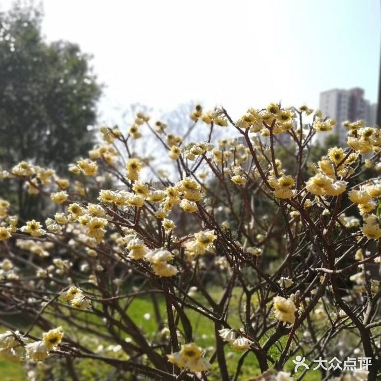 眼前的景，使心情豁然开朗，真的要感谢春天