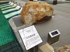 -和园景逸大酒店朗月汤泉