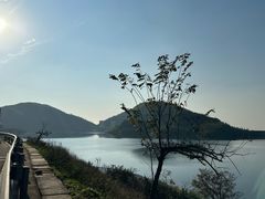 -长沙黑麋峰国家森林公园