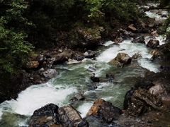 -武陵山森林公园