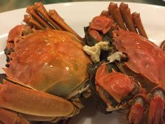 海派小菜(打浦路店)-海派铜锣湾(打浦路店)