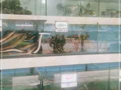 水产区-秋姐美食店(旅游大道店)