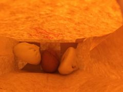 -金鼎轩(安贞里店)