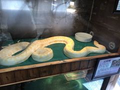 -上海大自然野生昆虫馆(东方明珠·爬宠昆虫探索中心)
