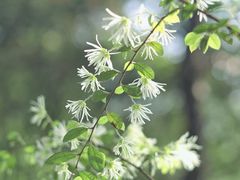 -青龙山国家森林公园