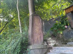 -龙泉洞(沙坪坝区)