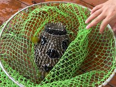 -蓝湾碧波·老字号·疍家非遗海上餐厅