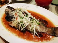 -唐拉雅秀酒店-唐苑中餐厅