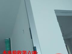 -大树装饰·十年本土家装
