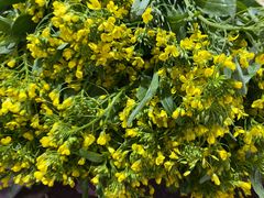 -白沙农贸综合市场