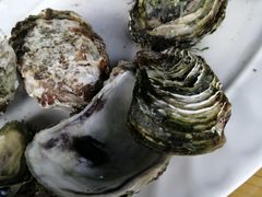 -林记海鲜排档·十年海鲜地标