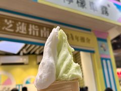 -柠檬车露(卖草地店)