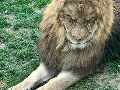 -北京野生动物园