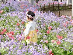 -荷兰花海