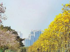 -洲头咀公园