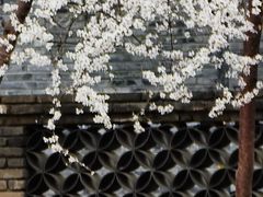 -三里河公园