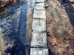 -白水寺森林公园