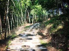 -东天目山风景区