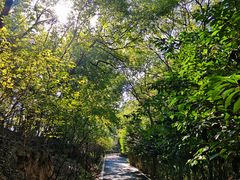 -平湖九龙山旅游度假区