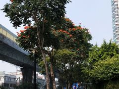 招牌虾面-明月虾面(厦禾路店)