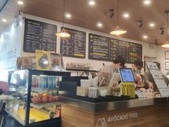 -油梨树 AVOCADO TREE(亮马桥店)
