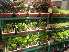 -董家大院·京味家常菜(朝丰家园店)