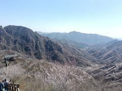 -大岭沟猕猴桃谷风景区