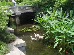 -武汉园博园(武汉自然博物馆)