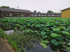 -千龙湖生态旅游度假区