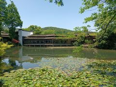 -绿茶餐厅(龙井船宴· 品牌总店)