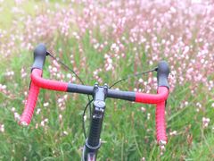 -白鹭湾湿地公园