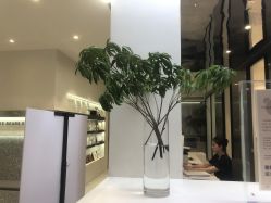 -三只熊皮肤管理中心旗舰店