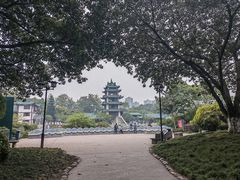-桂湖森林公园