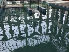 -悦隆庄温泉度假酒店