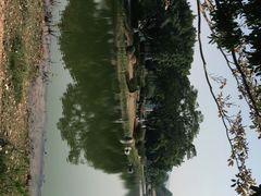 -东莞植物园
