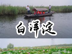 -白洋淀景区