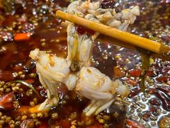-鸿顺老铁锅美蛙鱼府(解放碑店)