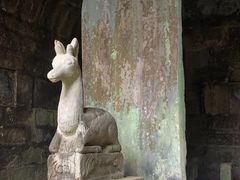 -白鹿洞书院