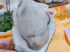 生蚝-蚝专家(北滘店)