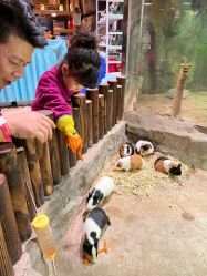 -宝燕乐园(闵行旗舰店)