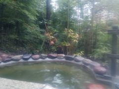 -花水湾第一村温泉大酒店