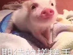 -迪卡侬(安德门店)