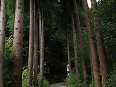 -九峰山