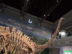 -自贡恐龙博物馆