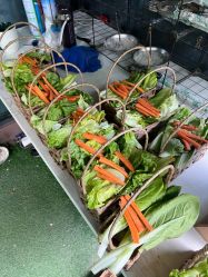 -可可天空农场(中大店)