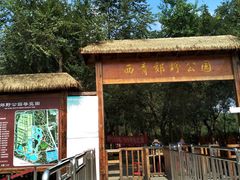 -西青郊野公园